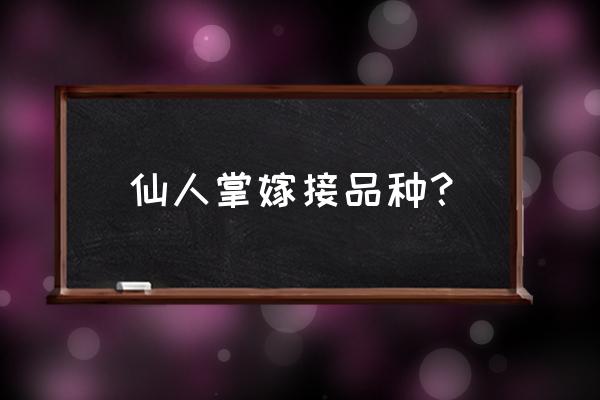 嫁接鼠尾掌几月份最好活 仙人掌嫁接品种？