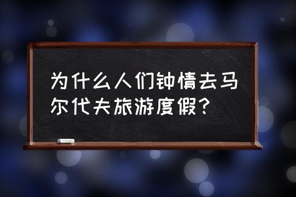 为什么一定要去巴厘岛旅游 为什么人们钟情去马尔代夫旅游度假？