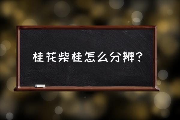 桂花树有公母之分吗 桂花柴桂怎么分辨？