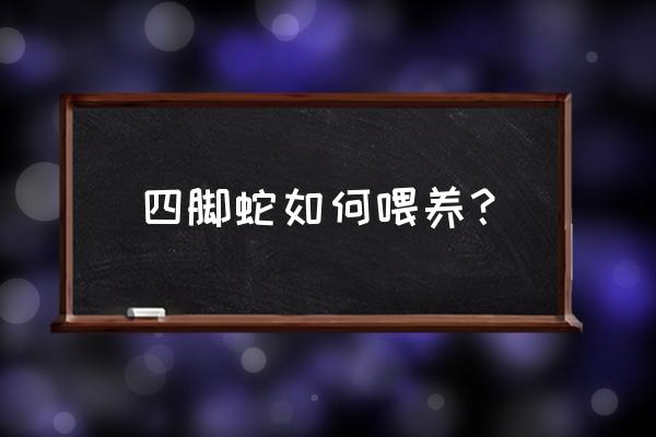 养殖地龙怎样喂养 四脚蛇如何喂养？