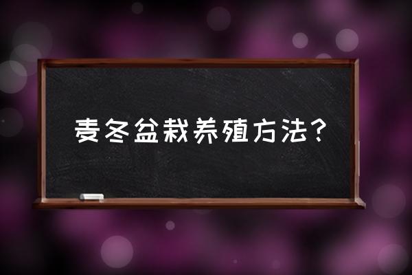 麦冬草浇水的正确方法 麦冬盆栽养殖方法？