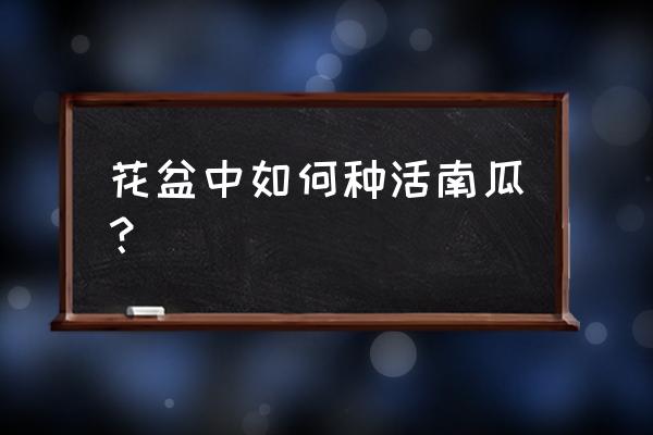 南瓜怎么养才能长得快 花盆中如何种活南瓜？