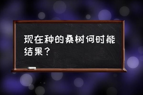 几月份种桑树苗最好 现在种的桑树何时能结果？