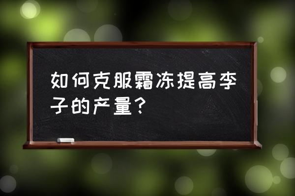 果园坐果期受冻后补救措施 如何克服霜冻提高李子的产量？