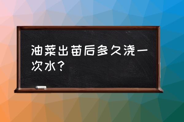 小白菜刚出苗可以浇水吗 油菜出苗后多久浇一次水？