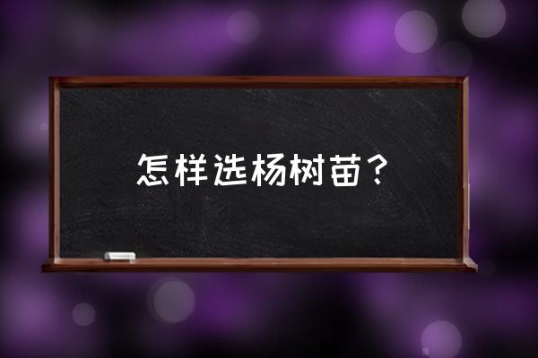 管道设计软件选择树的用法 怎样选杨树苗？