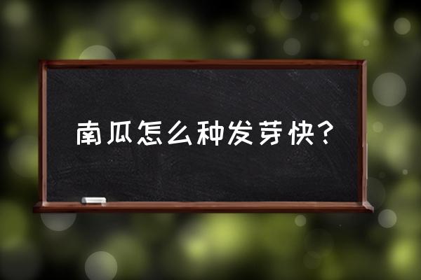 我的世界南瓜种子怎么种 南瓜怎么种发芽快？