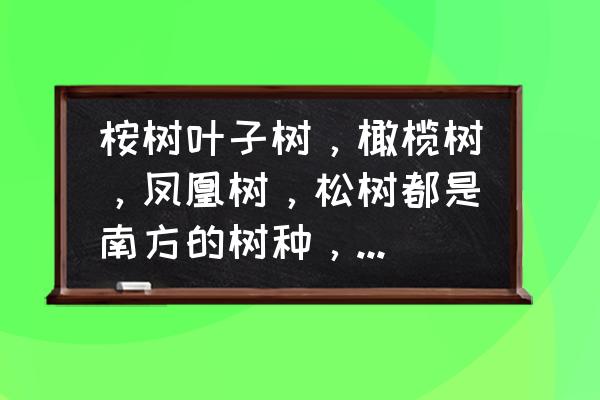 南方主要树种有哪些 桉树叶子树，橄榄树，凤凰树，松树都是南方的树种，但是可以在南方到处栽种吗？