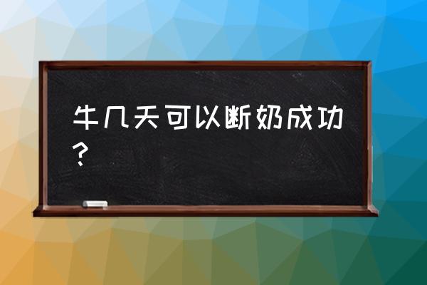 牛犊断奶多久才能彻底不吃奶 牛几天可以断奶成功？