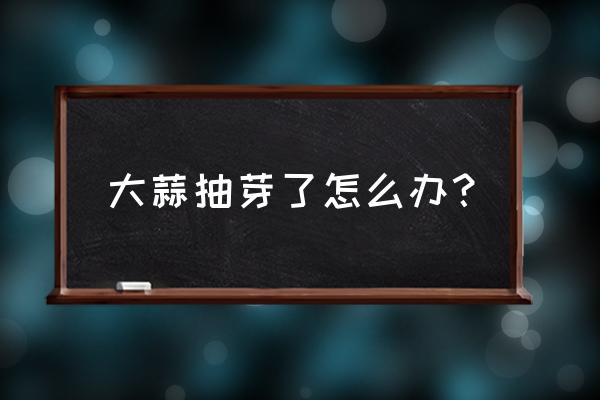 大蒜发芽怎么处理最快 大蒜抽芽了怎么办？