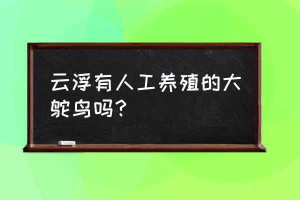 鸵鸟蛋怎么找销路 云浮有人工养殖的大鸵鸟吗？