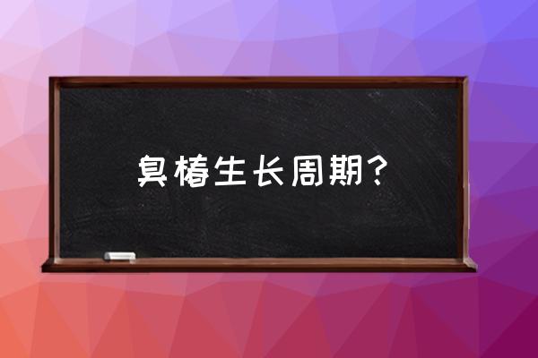 臭椿树用什么土最好 臭椿生长周期？