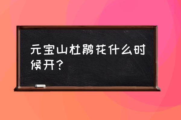 金秀县圣堂山万亩高山杜鹃花攻略 元宝山杜鹃花什么时候开？