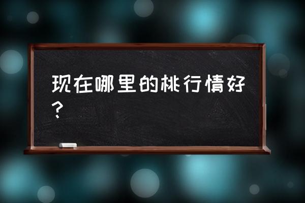 随州油桃什么品种最好 现在哪里的桃行情好？