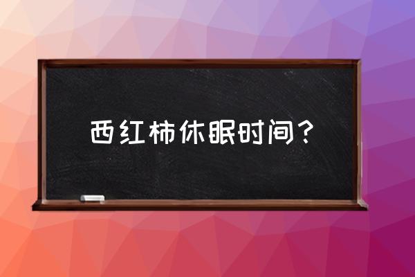 番茄如何开启黑夜模式 西红柿休眠时间？