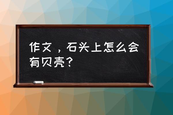 石头上为什么会有贝壳作文150字 作文，石头上怎么会有贝壳？