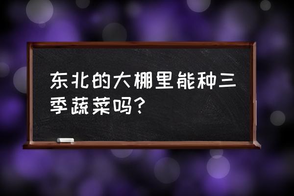 温室番茄三茬果丰产怎么种植 东北的大棚里能种三季蔬菜吗？