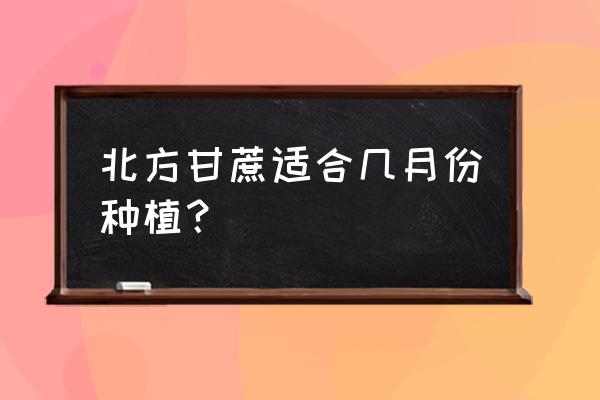 甘蔗越冬的正确方法 北方甘蔗适合几月份种植？