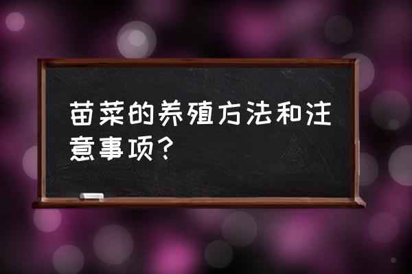 无土栽培绿豆芽的准备 苗菜的养殖方法和注意事项？