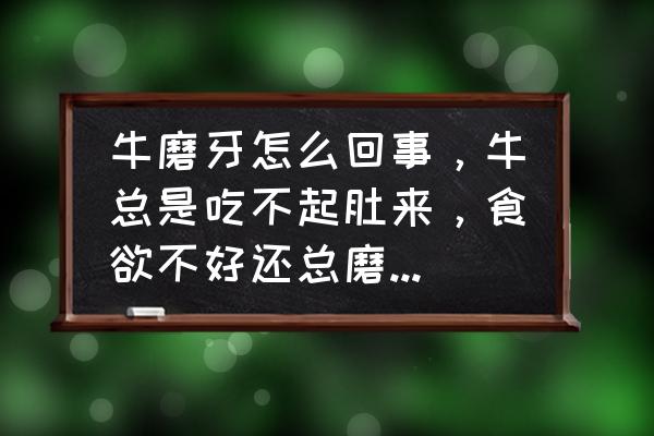 牛吃什么能提高食欲 牛磨牙怎么回事，牛总是吃不起肚来，食欲不好还总磨牙。是怎么回事?望指导。谢谢？