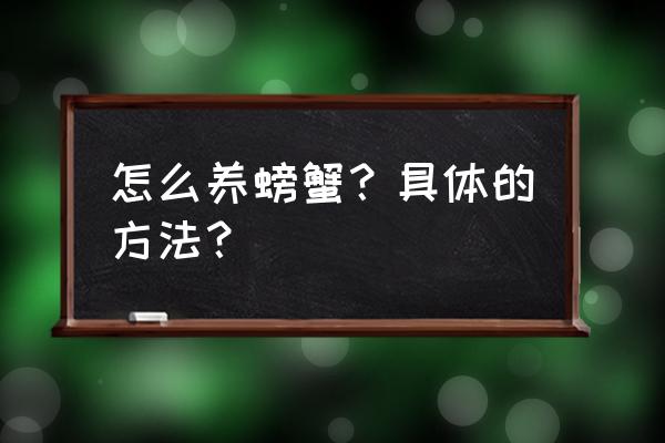 家养螃蟹怎样喂养 怎么养螃蟹？具体的方法？