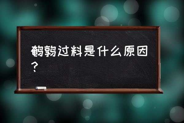 自己孵化鹌鹑拉稀怎么办 鹌鹑过料是什么原因？