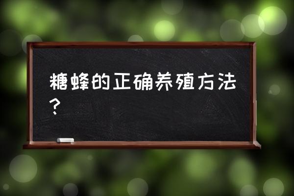 一只小蜜蜂怎么能养活自己 糖蜂的正确养殖方法？