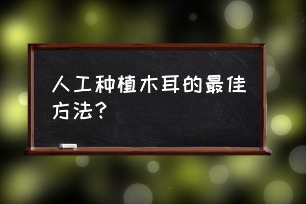 农村人在家里怎么种植木耳 人工种植木耳的最佳方法？