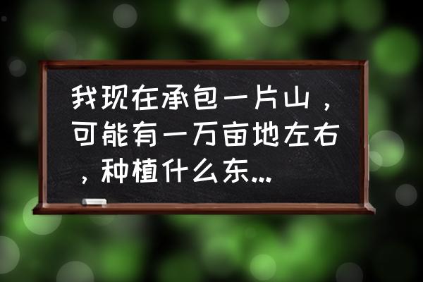 太荒初境原木怎么获取 我现在承包一片山，可能有一万亩地左右，种植什么东西比较好呢？