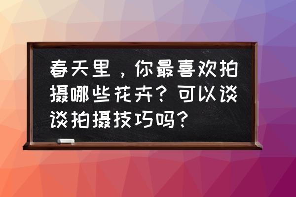 长得不好看怎么拍郁金香 春天里，你最喜欢拍摄哪些花卉？可以谈谈拍摄技巧吗？