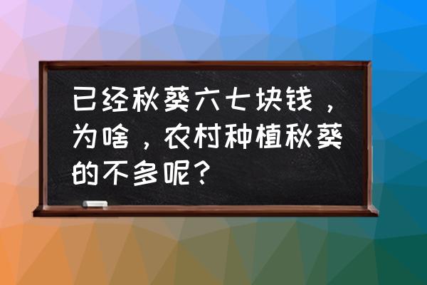 成都秋葵蔬菜价格 已经秋葵六七块钱，为啥，农村种植秋葵的不多呢？