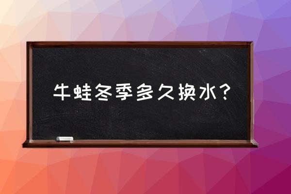 牛蛙该怎么养在家里要放多少水 牛蛙冬季多久换水？