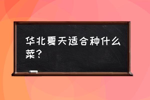 华北春节后种什么菜最好 华北夏天适合种什么菜？