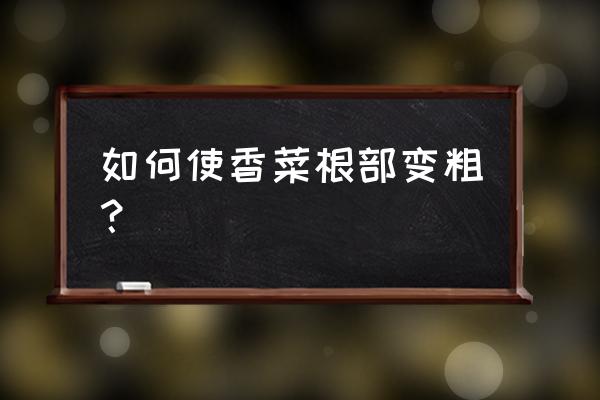 香菜施什么肥料粗壮 如何使香菜根部变粗? 香菜施什么肥料粗壮 如何使香菜根部变粗?
