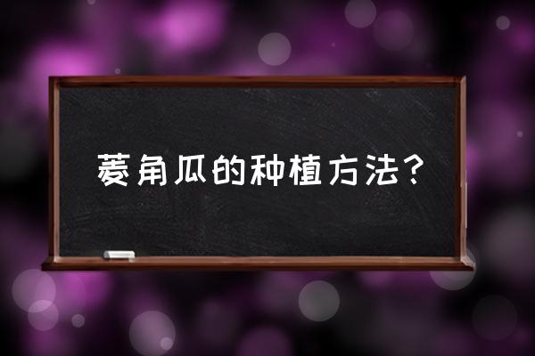 菱角种子催芽方法 菱角瓜的种植方法? 菱角种子催芽方法 菱角瓜的种植方法?