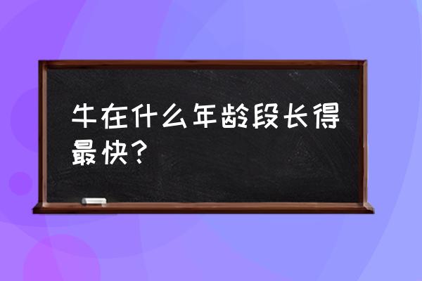 怎么饲养牛长得快一点 牛在什么年龄段长得最快？