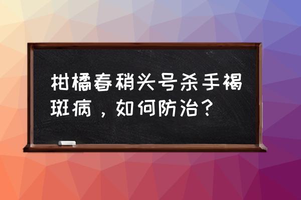 平安树炭疽病与褐斑病怎么辨认 柑橘春稍头号杀手褐斑病，如何防治？