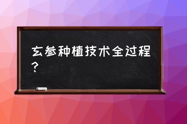 玄参种植技术及亩收益 玄参种植技术全过程？