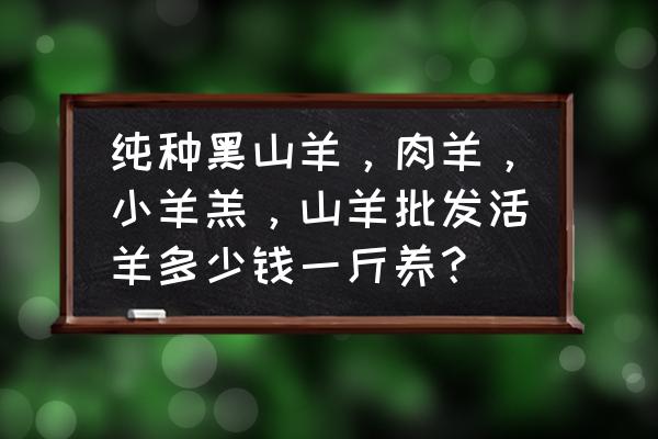 黑山羊羊苗批发价300一只 纯种黑山羊，肉羊，小羊羔，山羊批发活羊多少钱一斤养？