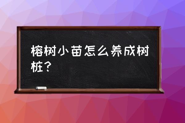 怎样使树根自动坏死腐烂 榕树小苗怎么养成树桩？