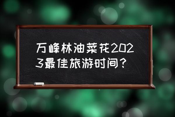 油菜花旅游攻略几月份最好 万峰林油菜花2023最佳旅游时间？