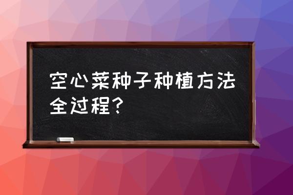 阳台空心菜种子播种方法 空心菜种子种植方法全过程？