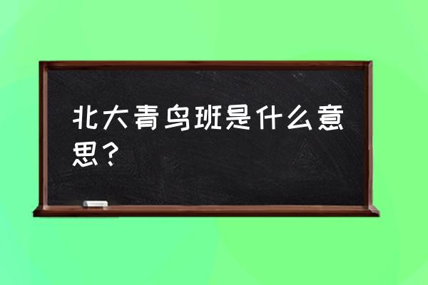 青鸟第几集开始放的 北大青鸟班是什么意思？