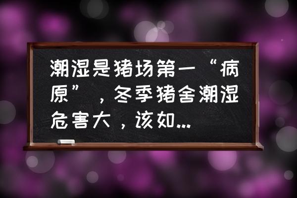 冬天猪舍墙面潮湿处理方法 潮湿是猪场第一“病原”，冬季猪舍潮湿危害大，该如何解决？