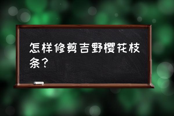 樱花的修剪方法和注意事项 怎样修剪吉野樱花枝条？