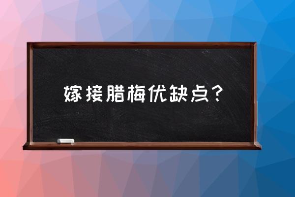 梅花嫁接的最佳时间 嫁接腊梅优缺点？