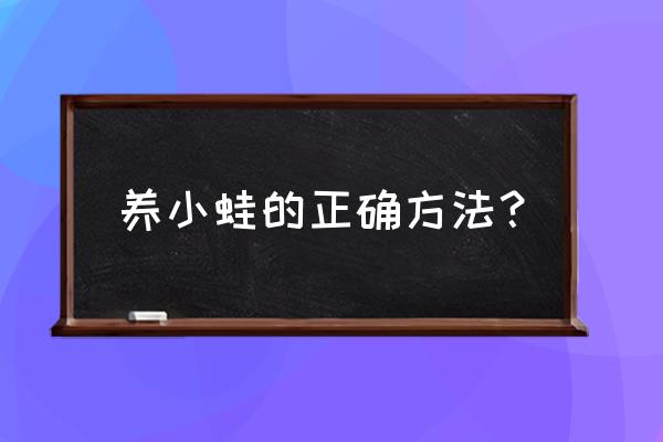 青蛙的喂养方法和注意事项 养小蛙的正确方法？