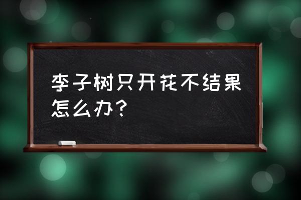 李子种了三年不挂果什么原因 李子树只开花不结果怎么办？