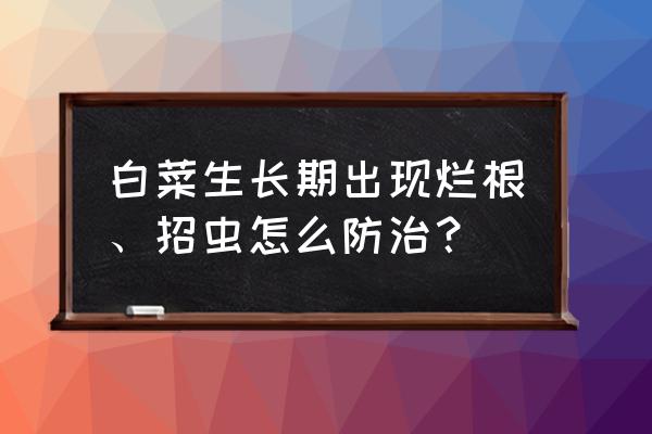 芹菜烂根死苗怎么治 白菜生长期出现烂根、招虫怎么防治？