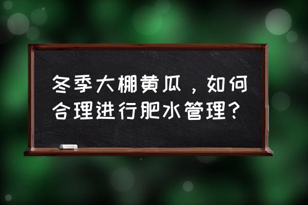 冬天黄瓜怎么炒 冬季大棚黄瓜，如何合理进行肥水管理？